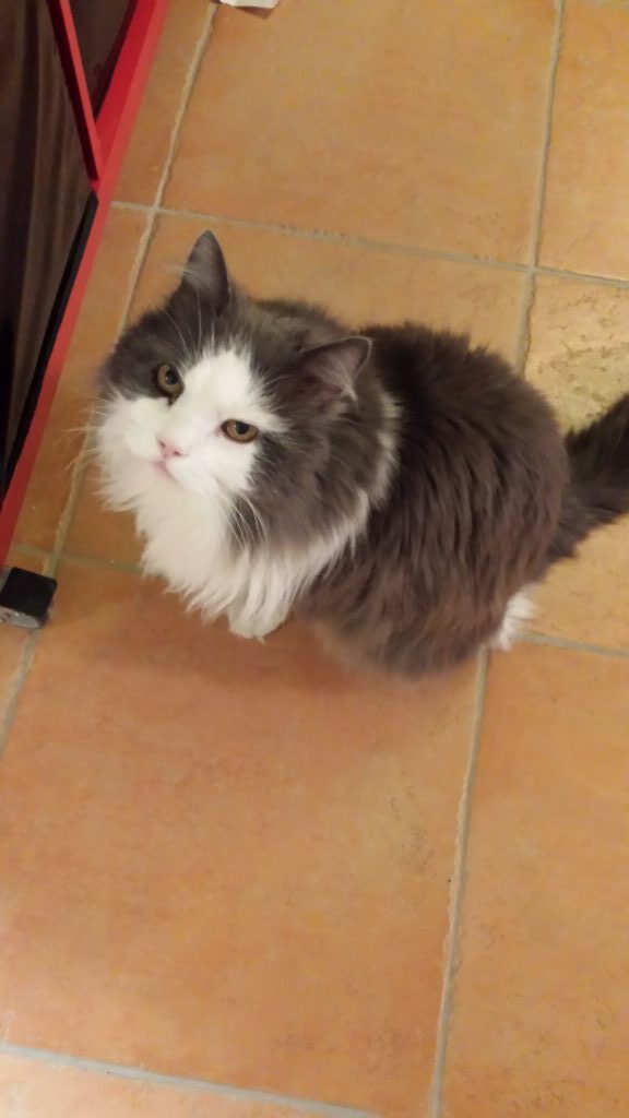 20160228_010634-1024x576