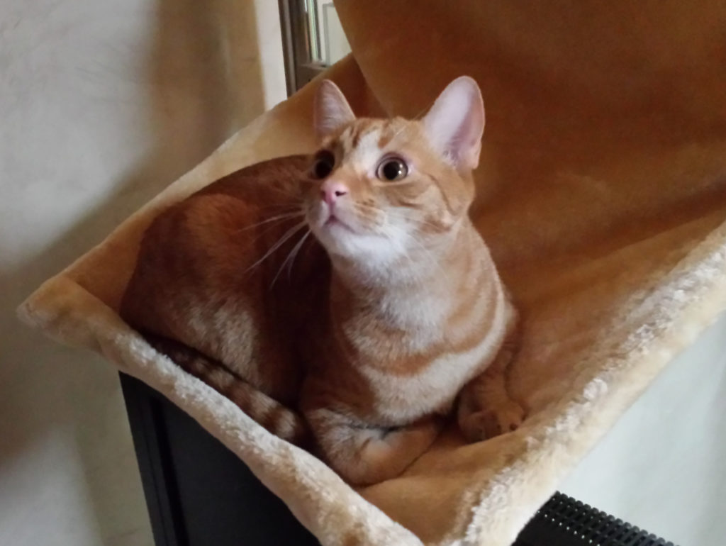 20180104_135629-1024x770